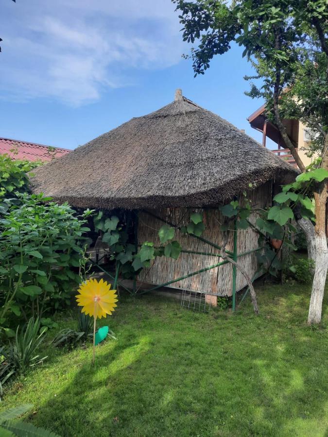 Casa Boby Hotel Murighiol Buitenkant foto